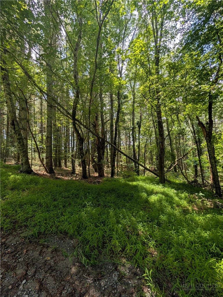 Doell Lane, Unit 20 Sparta, NC 28675 - Photo 10 of 18