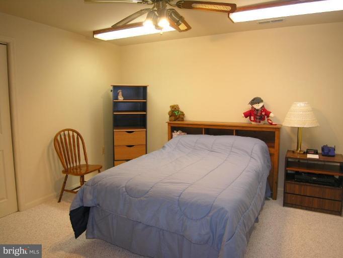 9519 Retriever Road Burke, VA 22015 - Photo 20 of 22 Finished Lower Level