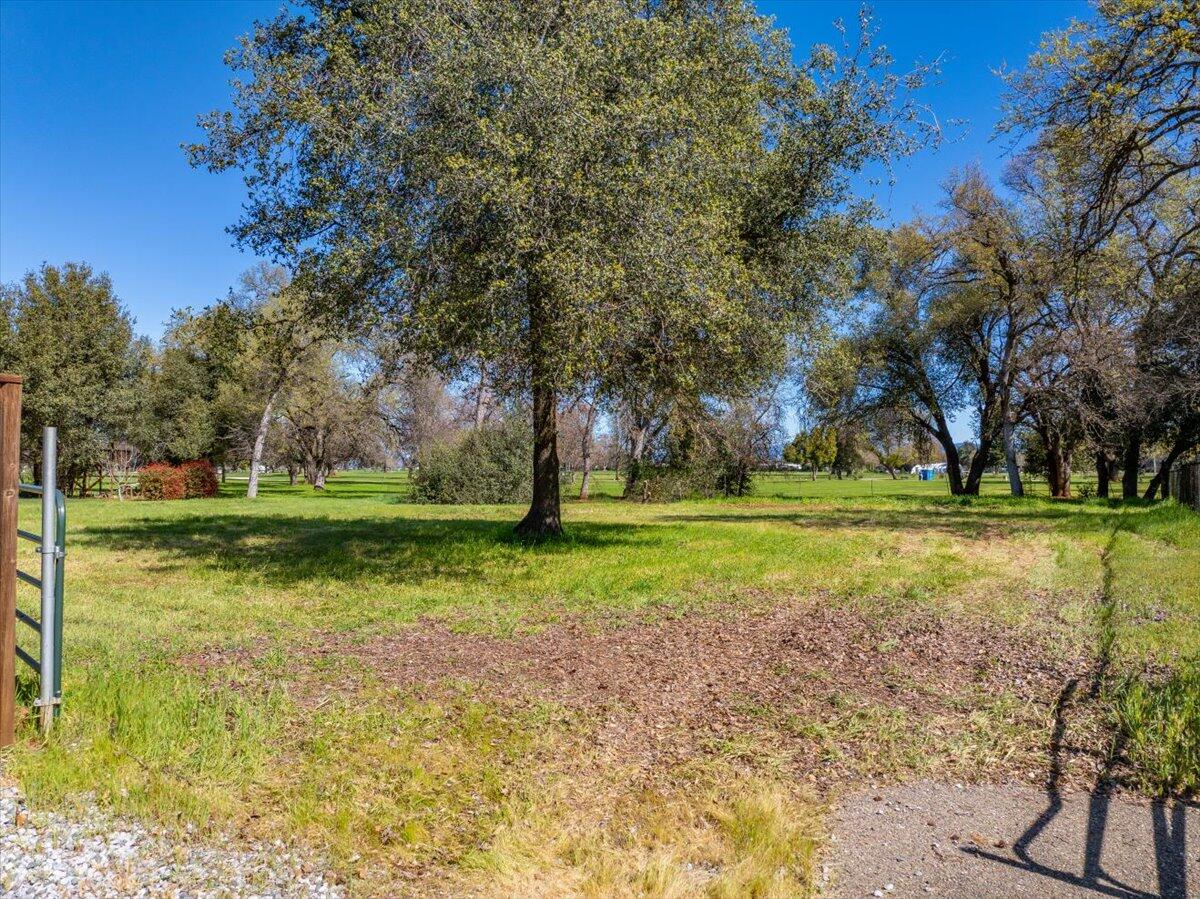 0 Riata Drive Redding, CA 96002 - Photo 1 of 28 a view of park with trees