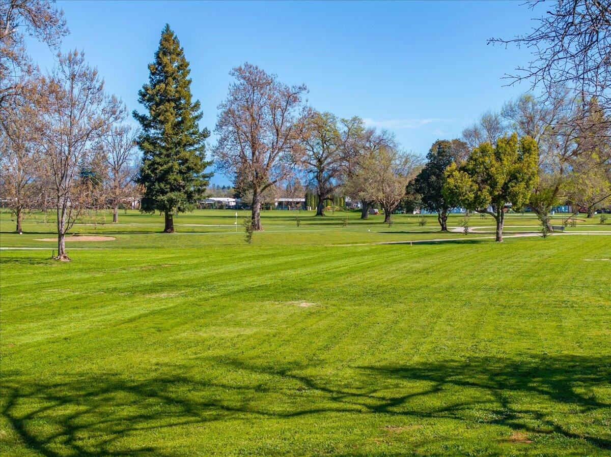 0 Riata Drive Redding, CA 96002 - Photo 22 of 28 a view of a big yard with a garden and trees
