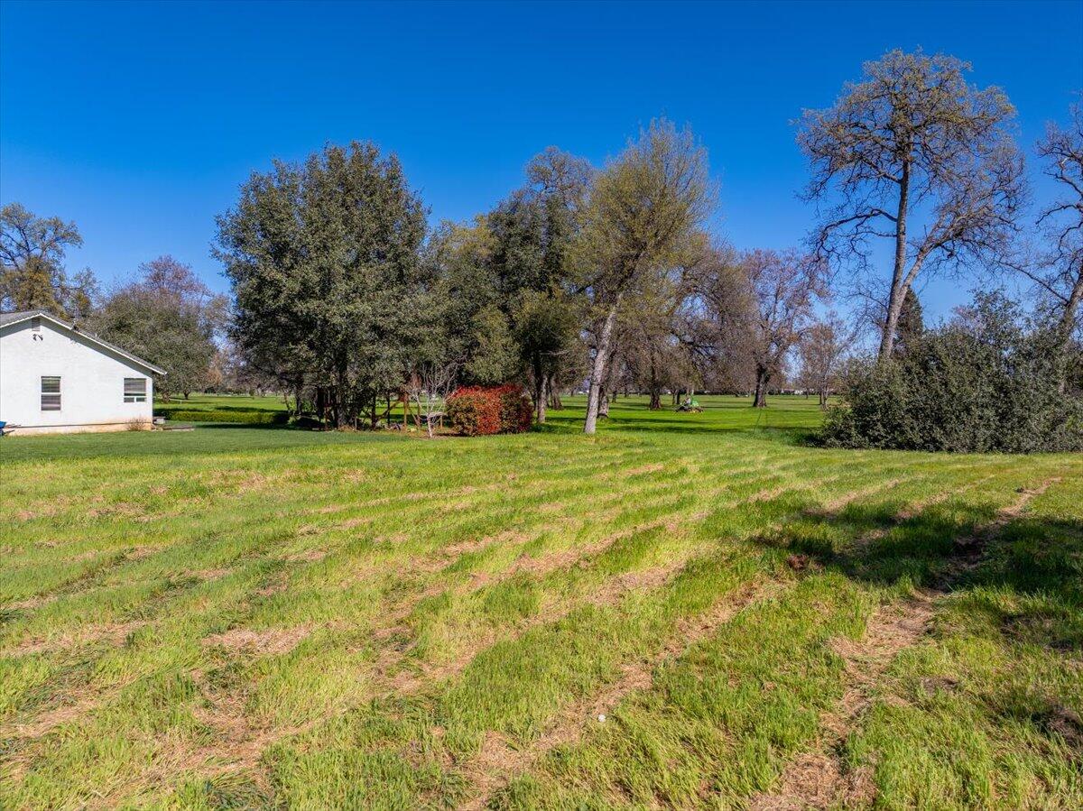 0 Riata Drive Redding, CA 96002 - Photo 23 of 28 a view of a tree in front of a house with a big yard