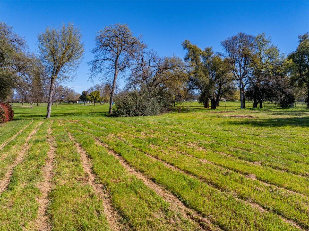 0 Riata Drive Redding, CA 96002 - Photo 24 of 28 a view of a golf course