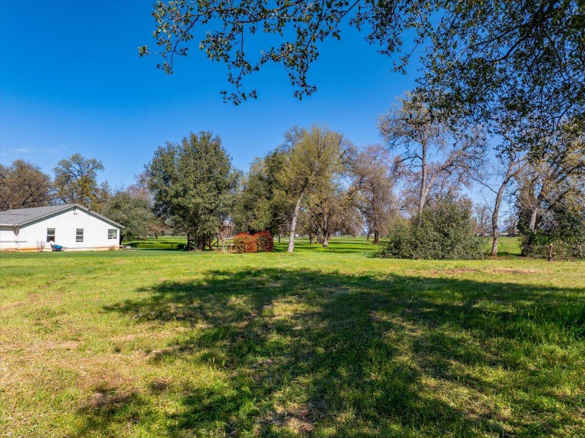 0 Riata Drive Redding, CA 96002 - Photo 3 of 28 a big yard with lots of green space