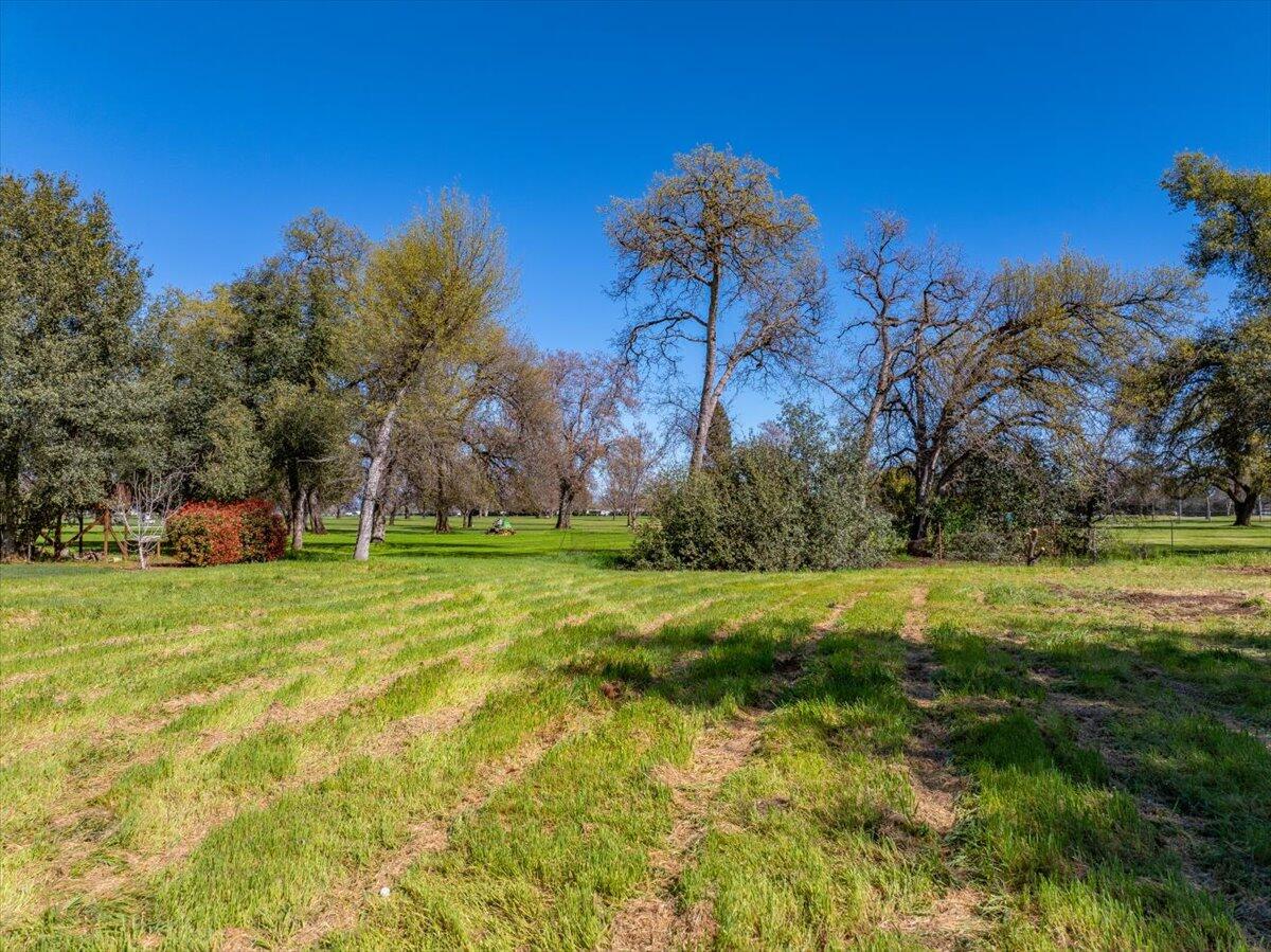 0 Riata Drive Redding, CA 96002 - Photo 4 of 28 a view of a trees in a yard with a house