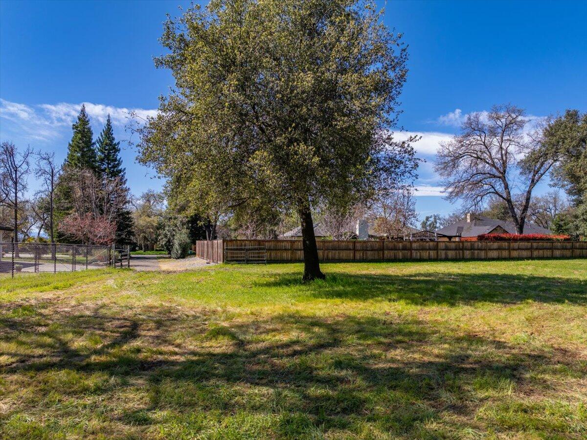 0 Riata Drive Redding, CA 96002 - Photo 5 of 28 a view of a large trees with a big yard