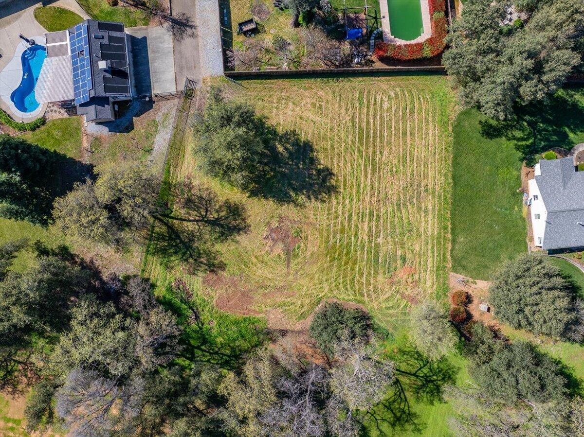 0 Riata Drive Redding, CA 96002 - Photo 7 of 28 a view of a garden with plants