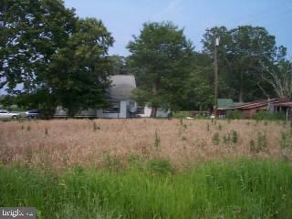 5952 Basket Switch Road Snow Hill, MD 21863 - Photo 6 of 6 Gallery Image 6