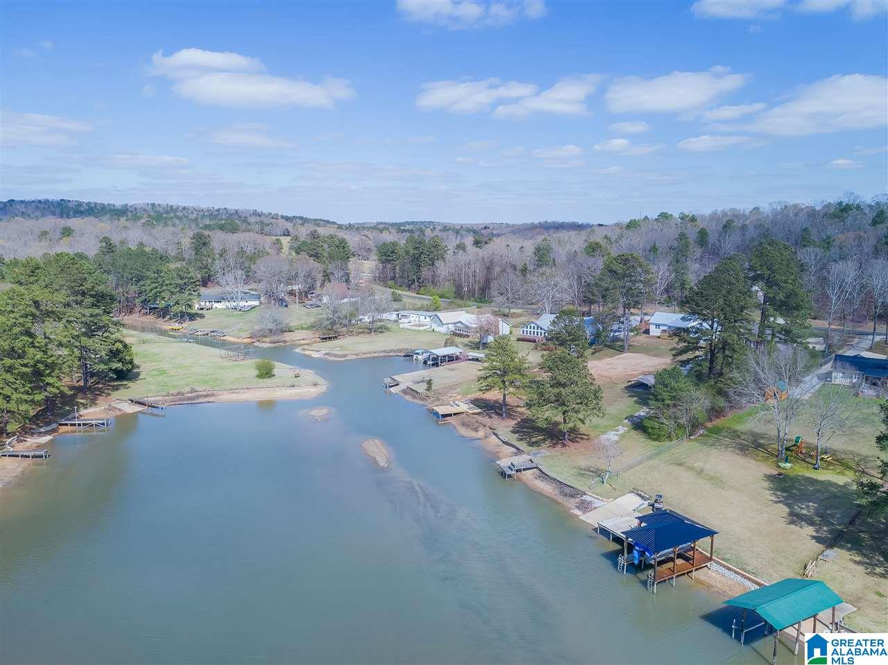 126 Funderburg Bend Road Pell City, AL 35128 - Photo 41 of 48