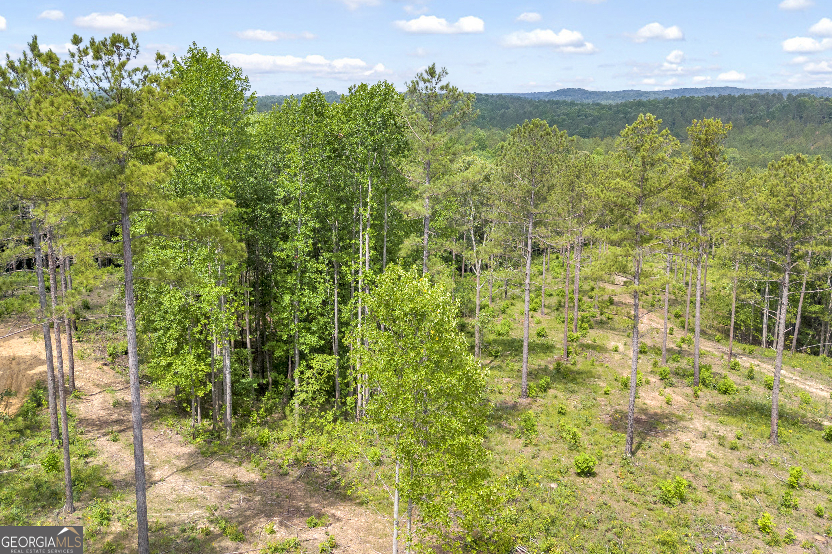 0 Mt Sinai Road, Unit LOT 1 Lula, GA 30554 - Photo 38 of 67
