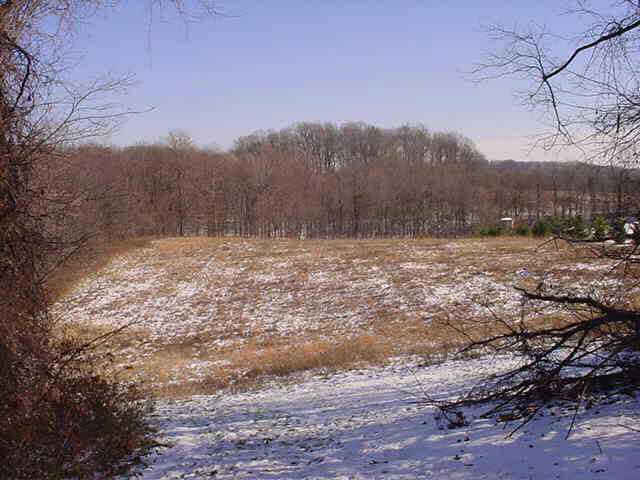 12050 Young Road Amanda, OH 43102 - Photo 3 of 5