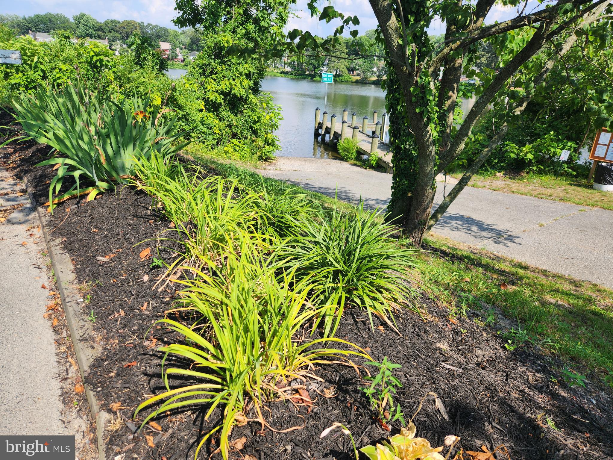 403 Rose Street Salisbury, MD 21801 - Photo 10 of 35 Lush greenery by the tranquil waterside.
