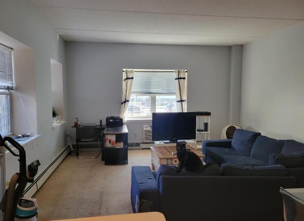 79-14 Rockaway Beach Boulevard, Unit 1J Queens, NY 11693 - Photo 4 of 5 Living room with carpet and a baseboard heating unit