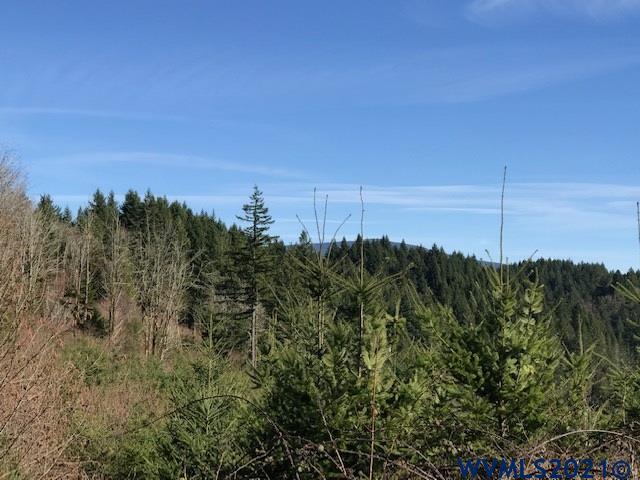 Southeast Loudon (lot 700) Road Corbett, OR 97019 - Photo 3 of 5