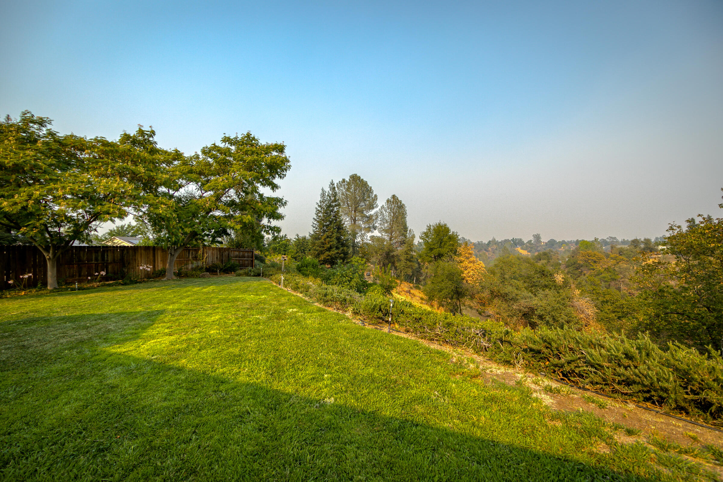 2965 Shadow Brook Lane Redding, CA 96001 - Photo 30 of 38 a view of a yard with a tree