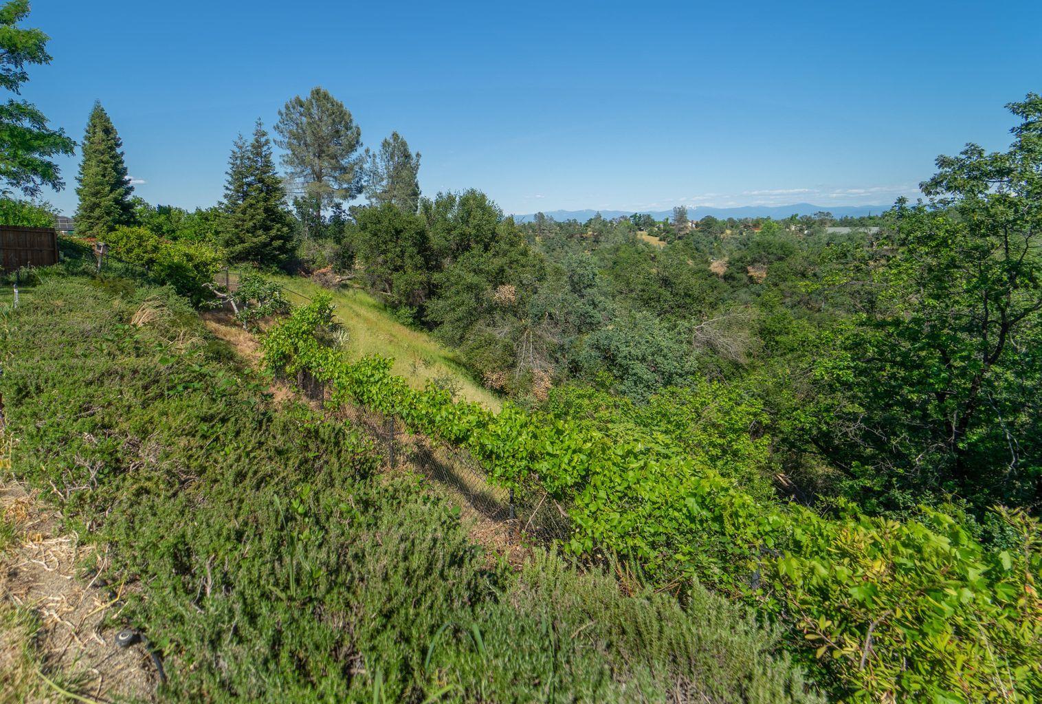 2965 Shadow Brook Lane Redding, CA 96001 - Photo 33 of 38 a view of a green field