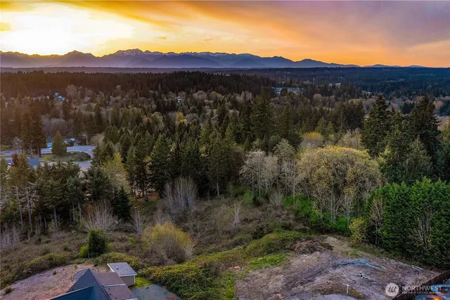a view of a lush green hillside and a houses