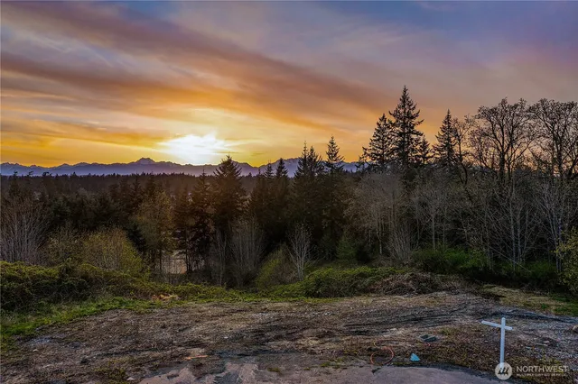 a view of a backyard with large trees
