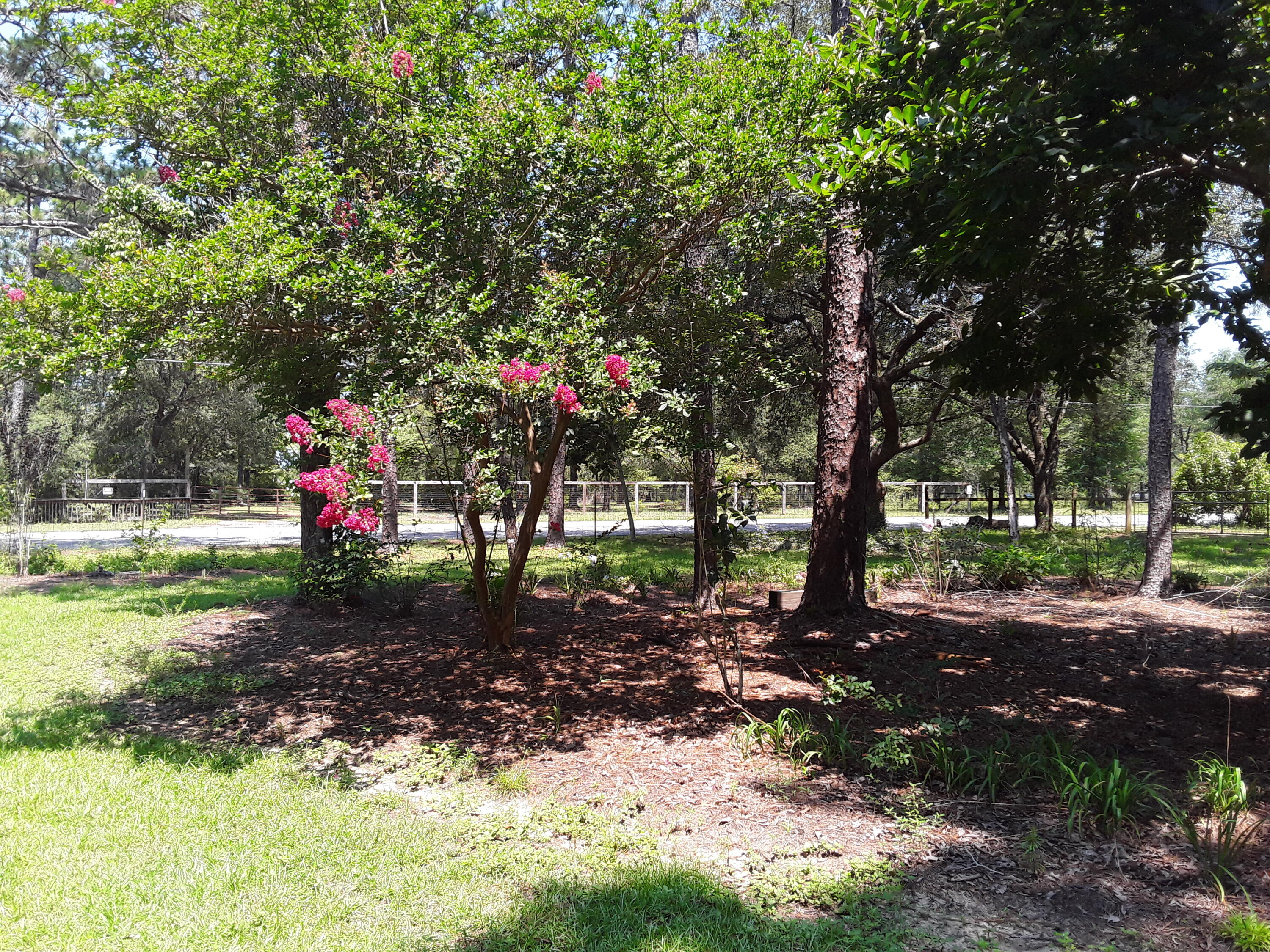 3074 King Lake Road DeFuniak Springs, FL 32433 - Photo 50 of 60 The grounds 2