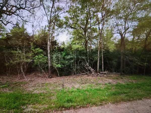 a view of outdoor space with trees