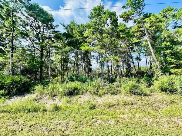 $59,000 | 271 Twin Lakes Road, Eastpoint, FL 32328