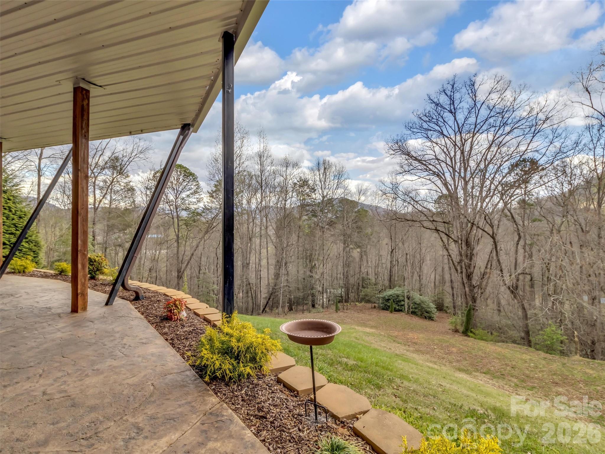 115 Fugitive Run Sylva, NC 28779 - Photo 35 of 47 a view of a back yard with potted plants