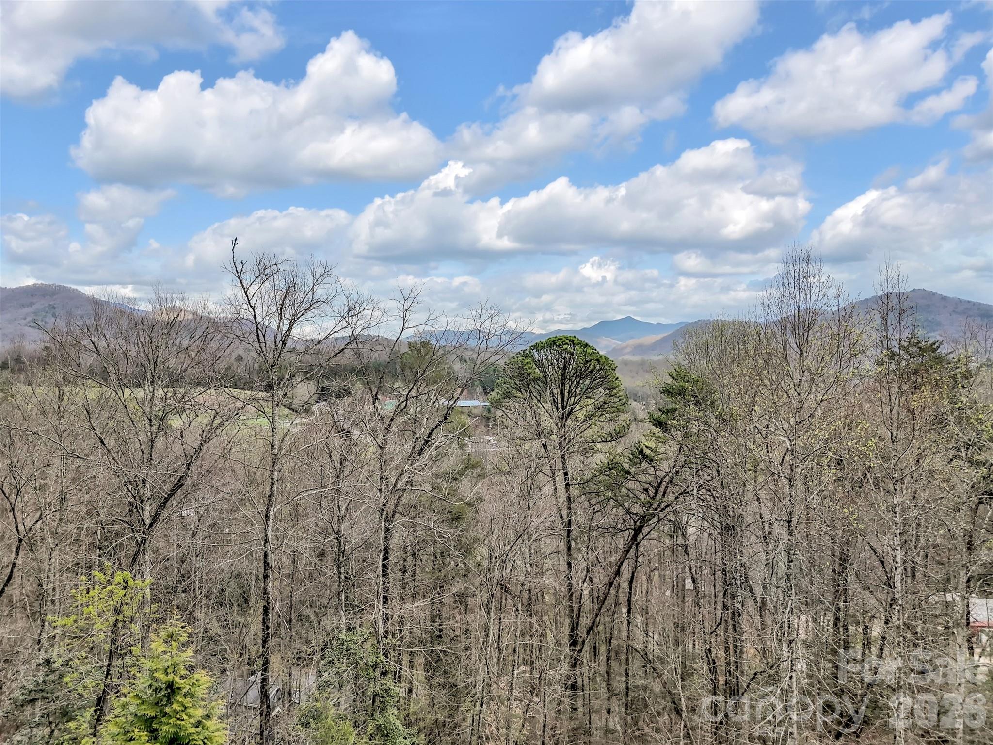 115 Fugitive Run Sylva, NC 28779 - Photo 47 of 47 a view of a city with lots of green space
