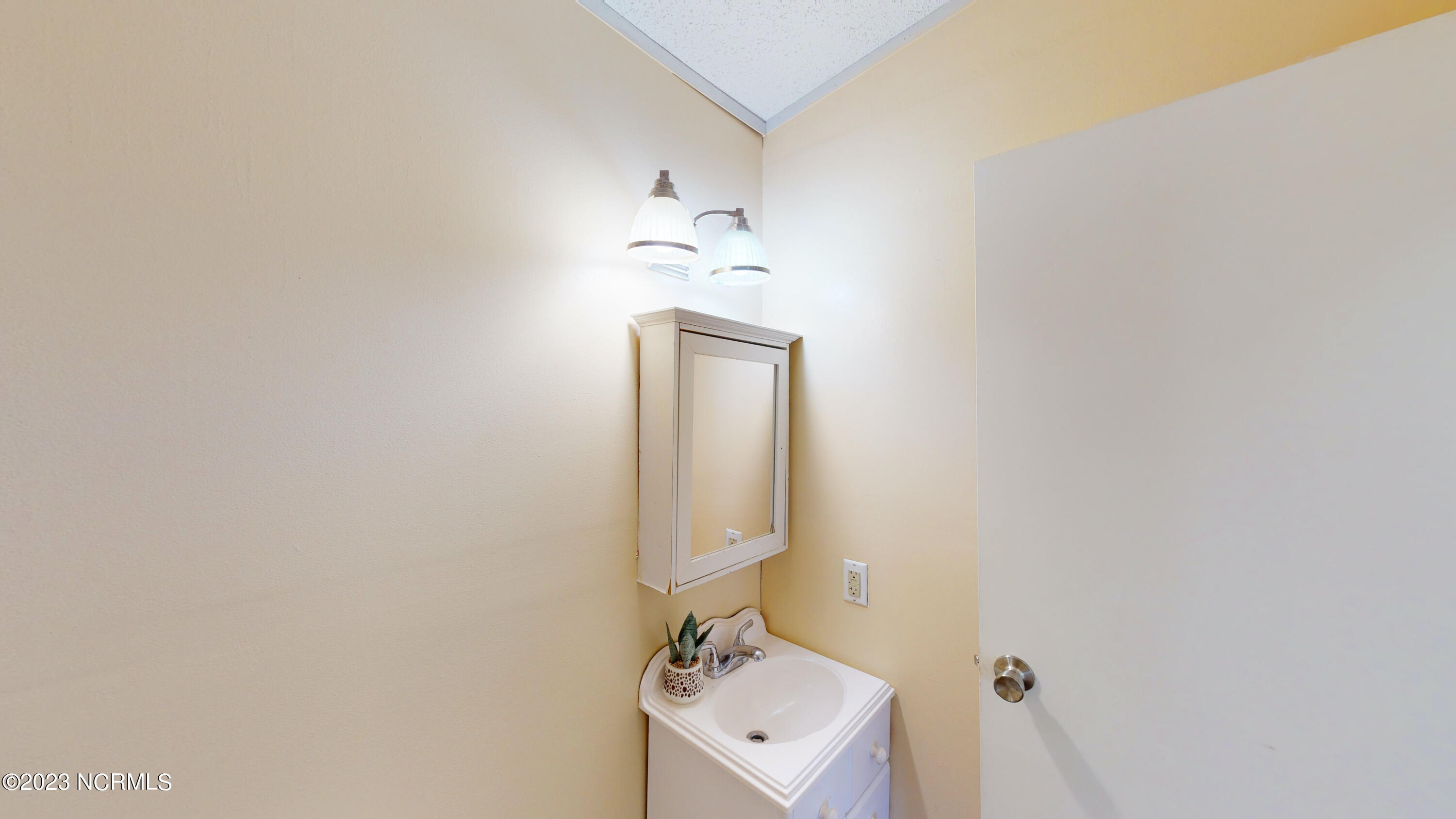 1782 Old Cornwallis Road Princeton, NC 27569 - Photo 35 of 38 1782-Old-Cornwallis-Rd-08112023_122349