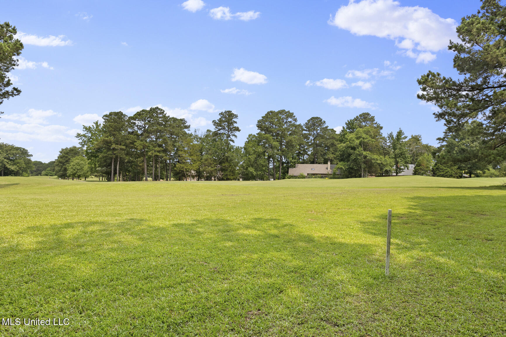 415 Spike Ridge Canton, MS 39046 - Photo 31 of 31 415 spike Ridge-28