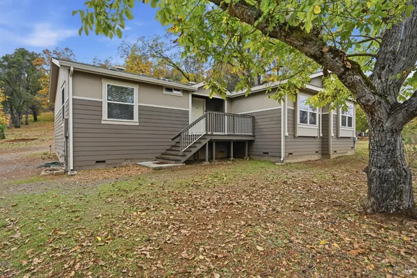 front view of a house with a large tree