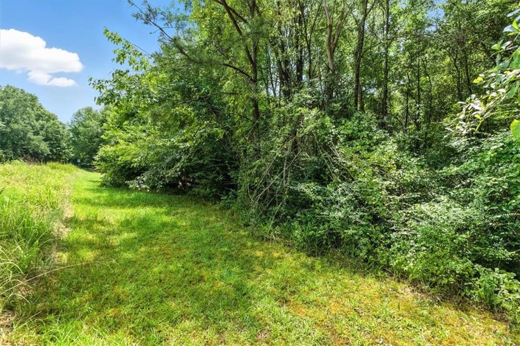 0 George Road Southwest Cave Spring, GA 30124 - Photo 4 of 22