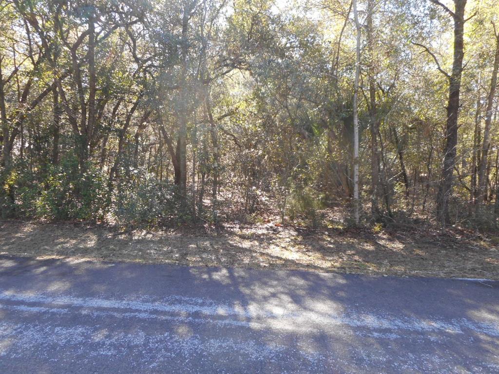 609 North Brighton Road Lecanto, FL 34461 - Photo 2 of 2