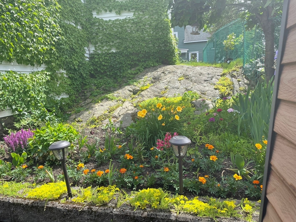 60 Roy Street Swampscott, MA 01907 - Photo 3 of 42