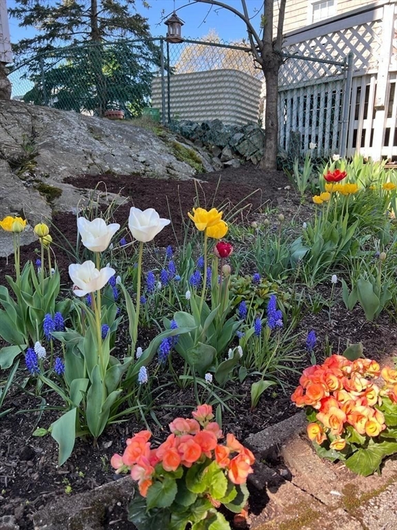 60 Roy Street Swampscott, MA 01907 - Photo 4 of 42