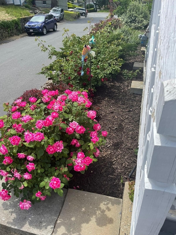 60 Roy Street Swampscott, MA 01907 - Photo 42 of 42