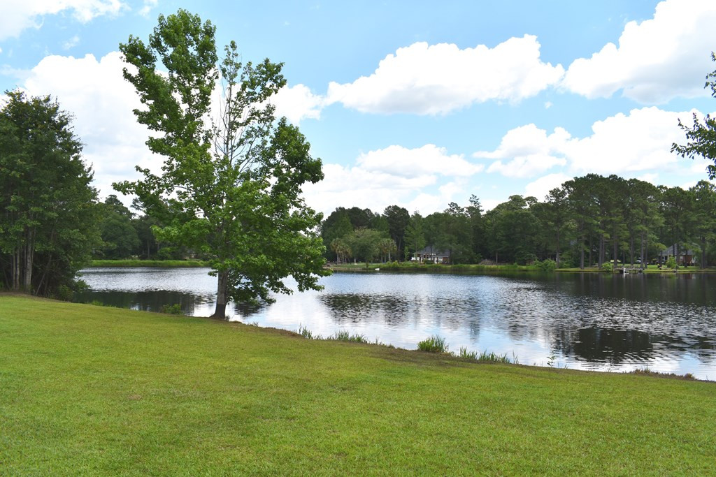 3265 Green View Parkway Sumter, SC 29150 - Photo 10 of 63