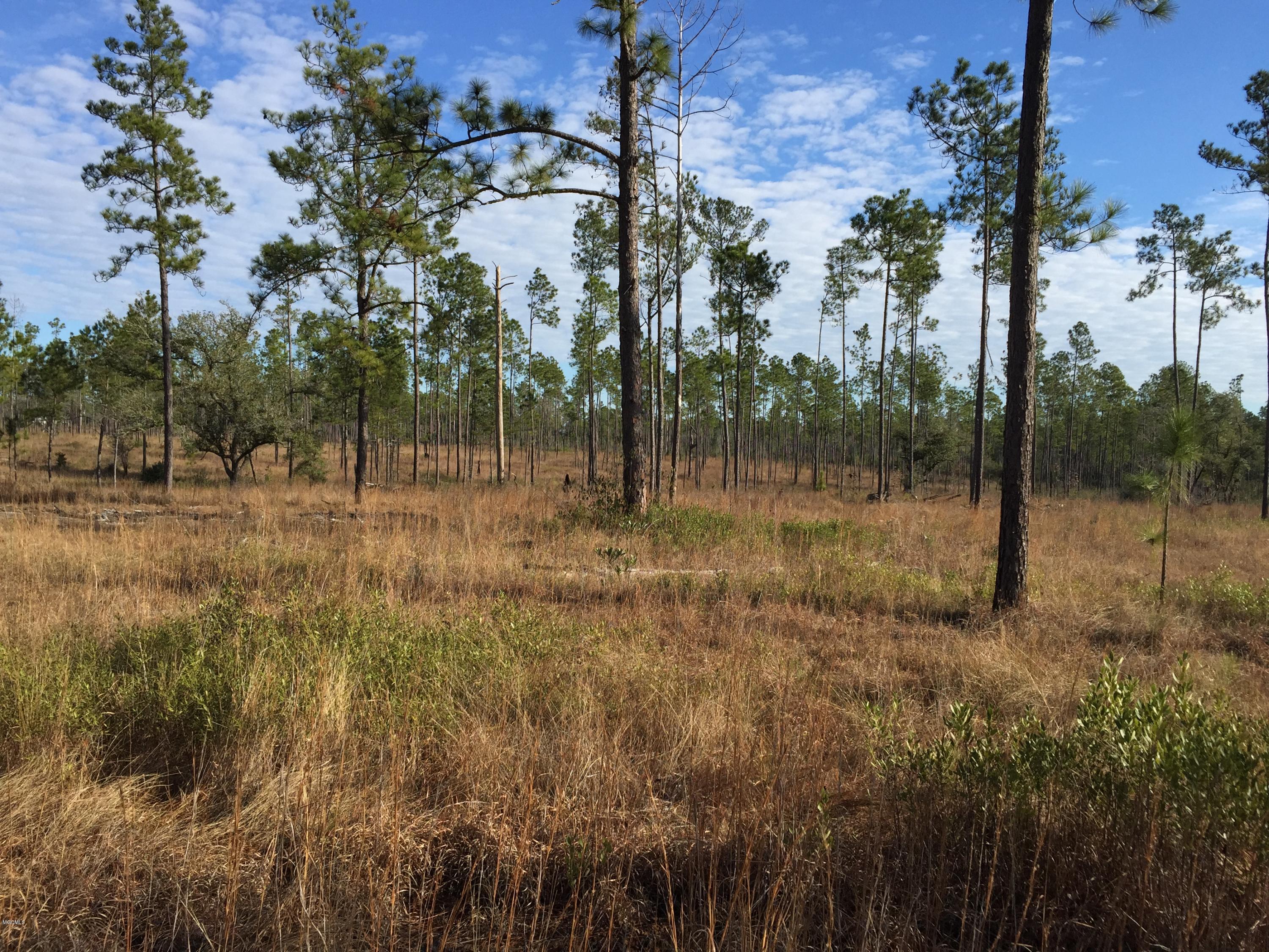 357 Road 357 Kiln, MS 39556 - Photo 5 of 8 IMG_1056
