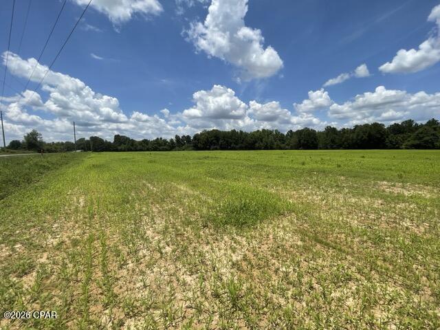 0 Peanut Road Graceville, FL 32440 - Photo 6 of 13