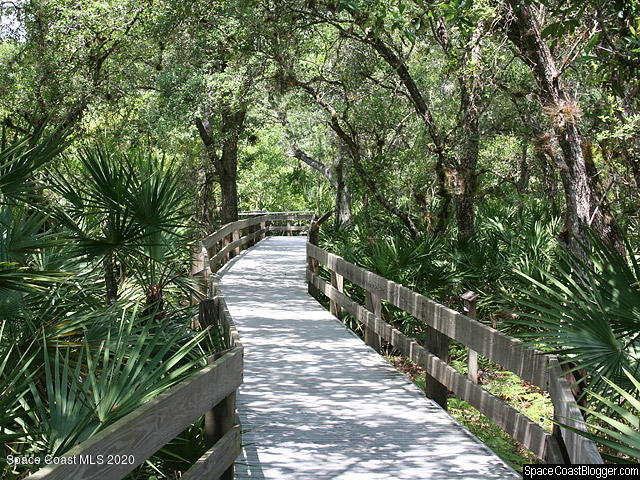 1491 Creel Road Northeast Palm Bay, FL 32905 - Photo 22 of 50 a view of a garden