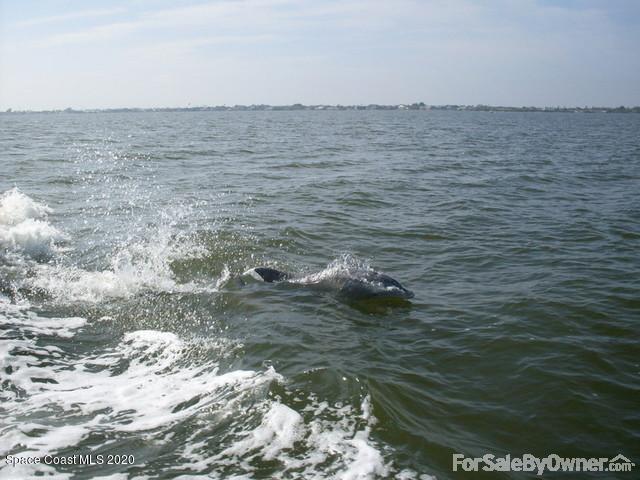 1491 Creel Road Northeast Palm Bay, FL 32905 - Photo 25 of 50