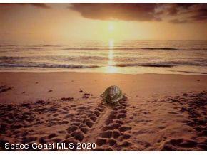 1491 Creel Road Northeast Palm Bay, FL 32905 - Photo 41 of 50 a view of an ocean
