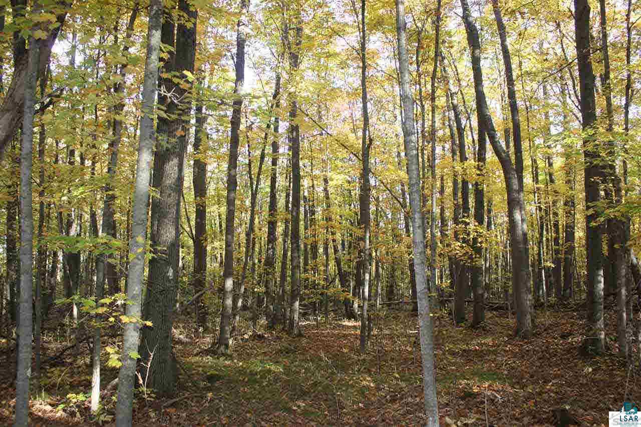 15-acres Lindgren Road Maple, WI 54854 - Photo 3 of 8 Gallery Image 3