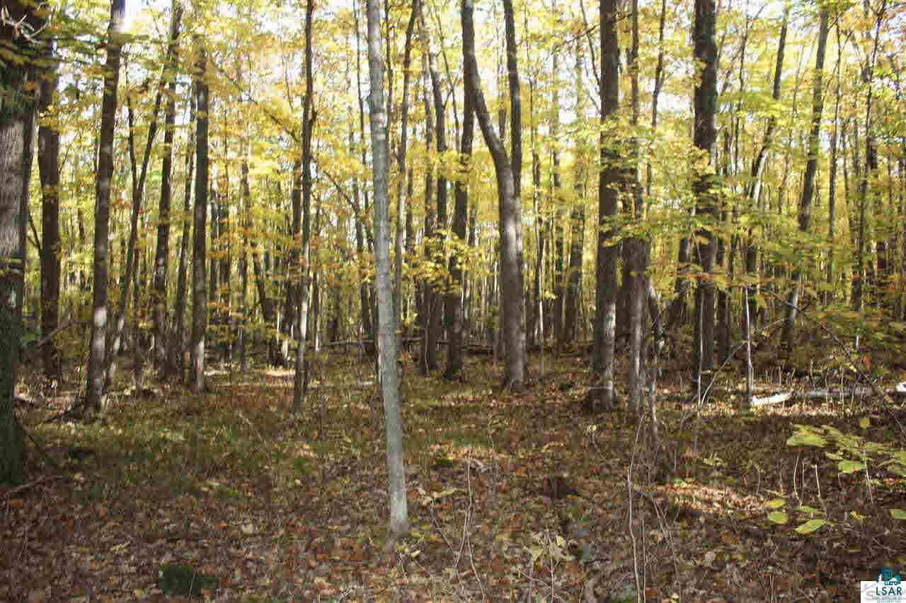 15-acres Lindgren Road Maple, WI 54854 - Photo 5 of 8 Gallery Image 5