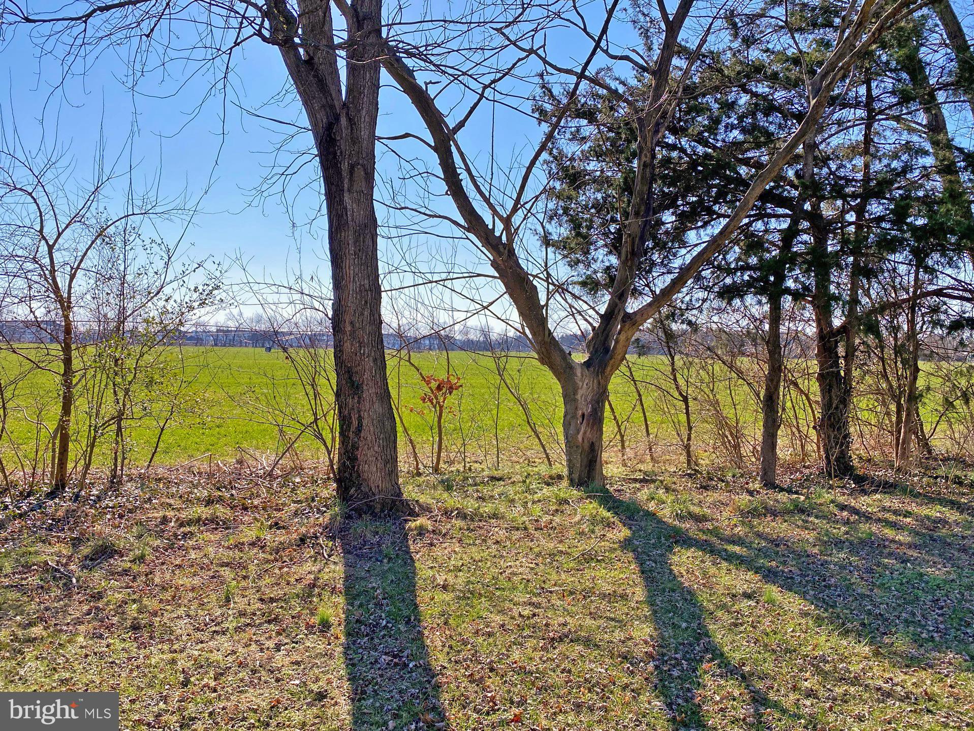 31718 Siham Road, Unit E30 Lewes, DE 19958 - Photo 16 of 18 Backyard