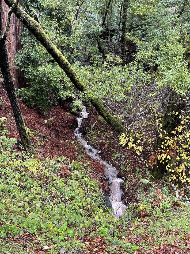 305 Mountain View Road Santa Cruz, CA 95065 - Photo 32 of 74 Gallery Image 32