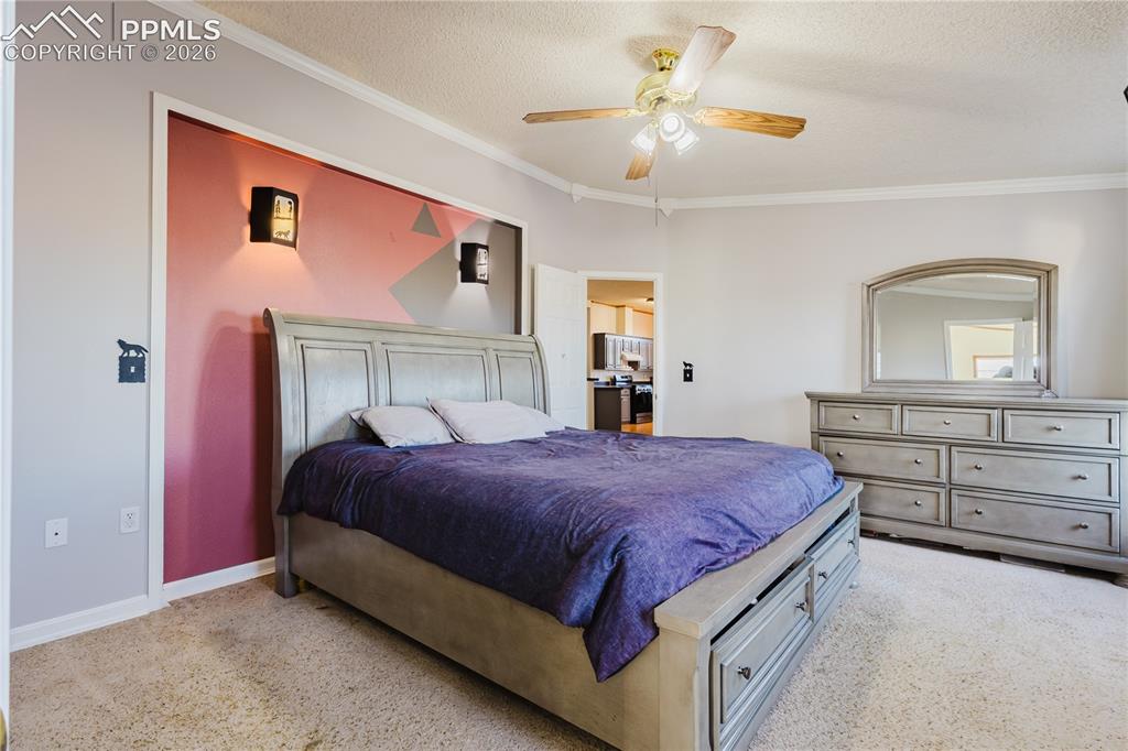 25220 Myers Road Colorado Springs, CO 80928 - Photo 8 of 22