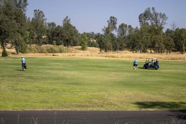 a ground area with lots of trees in the background