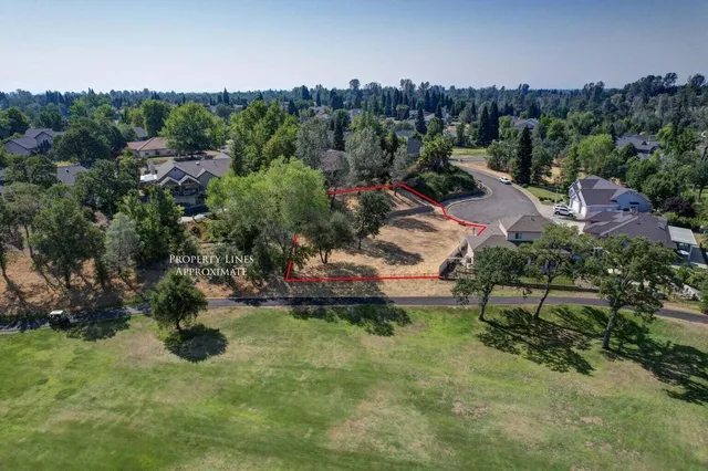 a view of a garden with plants