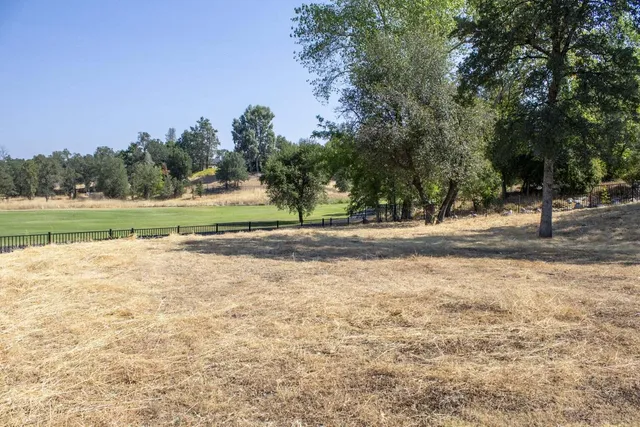 a view of grassy field with trees