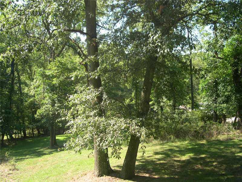 3828 Anderson Road Gibsonia, PA 15044 - Photo 5 of 15 Land/Lot.
