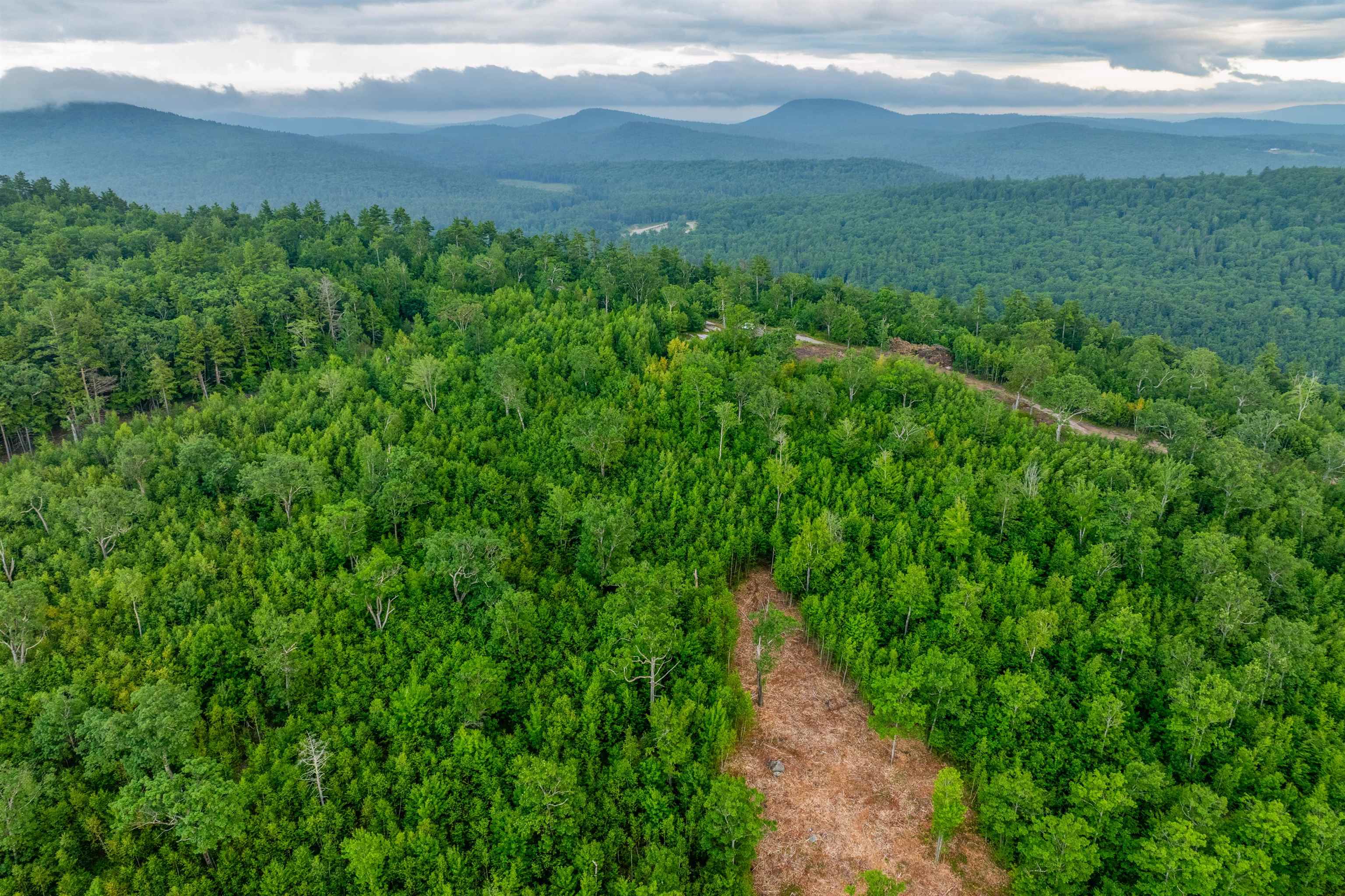 0 Long Stack Lane, Unit 40 Wolfeboro, NH 03894 - Photo 10 of 10